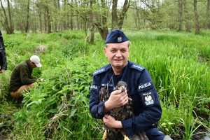 policjant trzyma orła